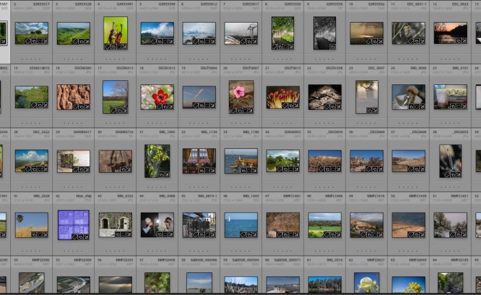 26. ״מארגן צילומים״, מקצוע חדש בתחום&nbsp;הצילום?