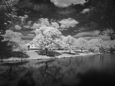 40. צילום בתחום ה- IR וה-&nbsp;UV