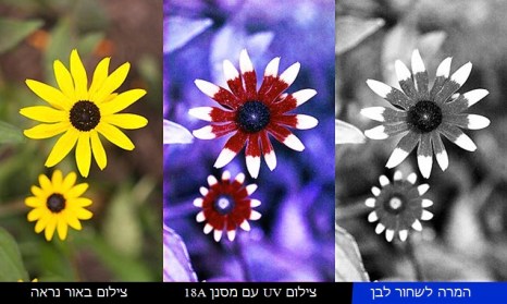 Parallels DesktopScreenSnapz011