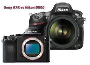 Sony_A7R_vs_Nikon_D800_167218_med1