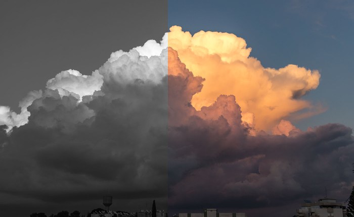 64. שחור לבן זה הצבעוני&nbsp;החדש