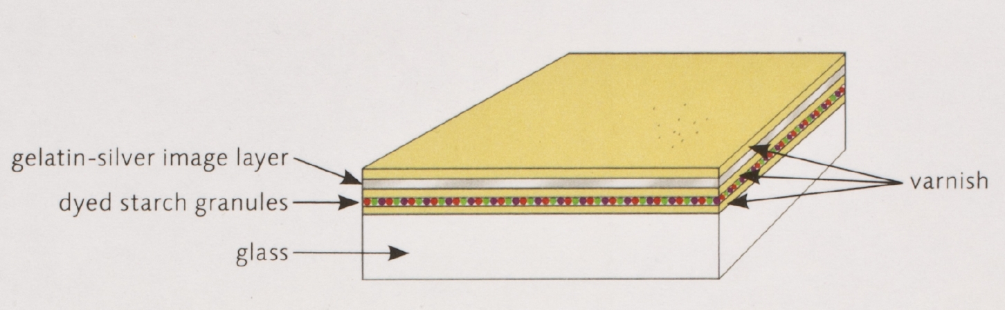 Lavedrine_Autochrome