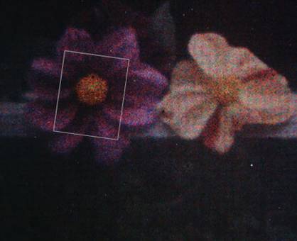 67. תהליכי צילום צבעוניים היסטוריים:&nbsp;Autochrome
