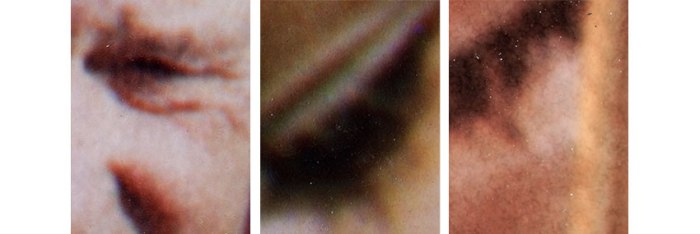 dye_imbibition_magnification_image2