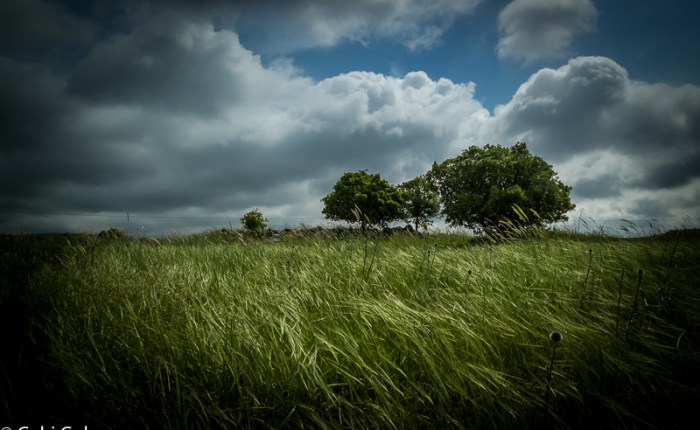 82. עדשות ועצמיות 2.0, חלק&nbsp;ו