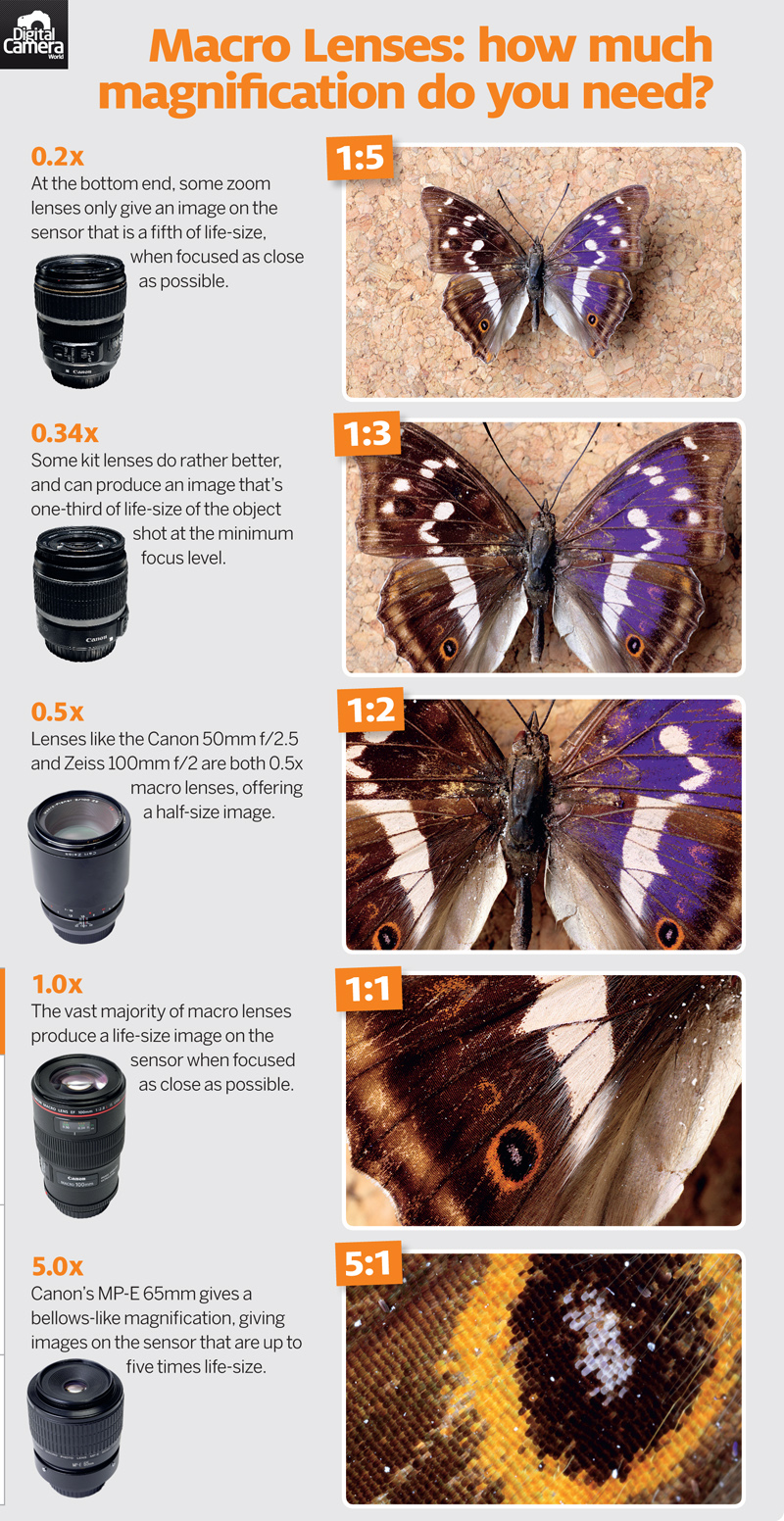 Macro_lenses_magnification_cheat_sheet