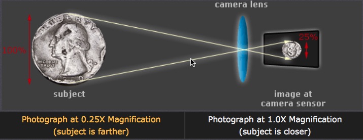SafariScreenSnapz008
