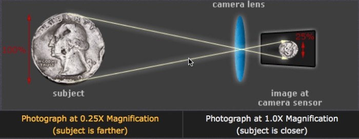 SafariScreenSnapz008