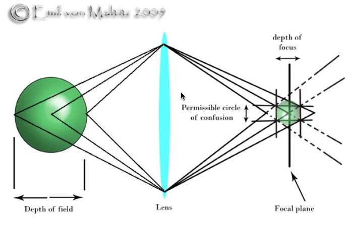 SafariScreenSnapz011