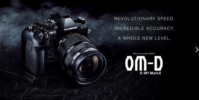 safariscreensnapz002